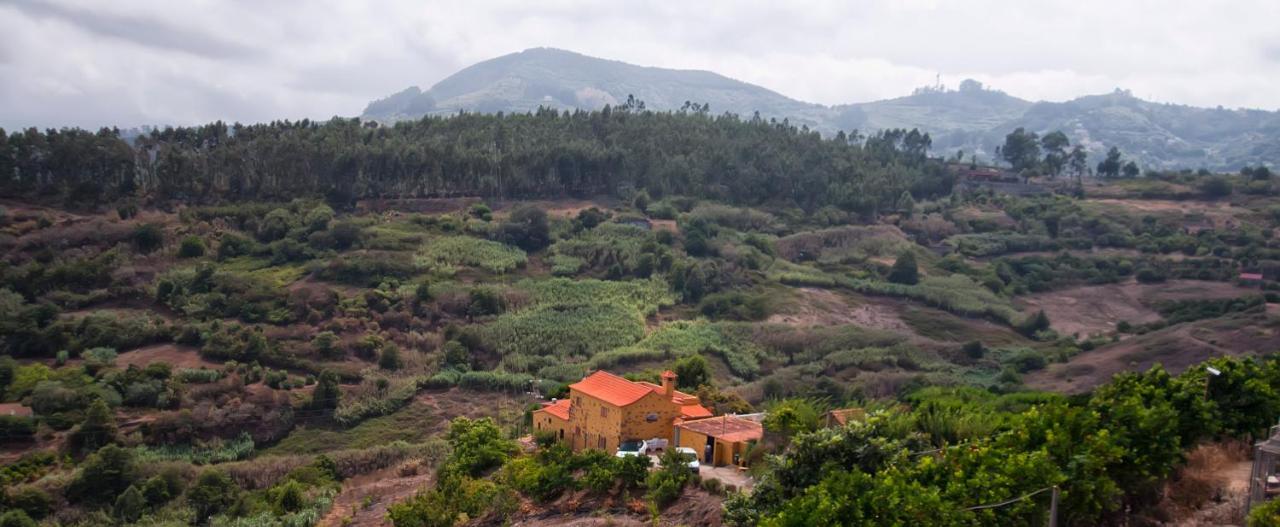 Las Casas De Lola Y Rafael Moya (Gran Canaria) Exterior foto